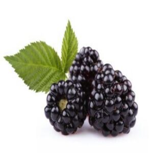Blackberry (125g)