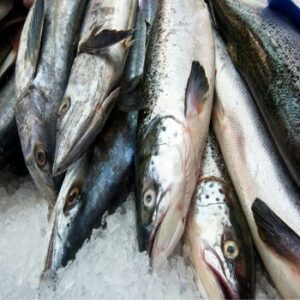 Fish (kote) 1kg