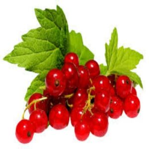 Currant 125g (Red)