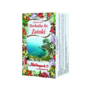 Fix Sinus Tea, 20 sachets x 2 g