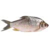 Fish Croacker (Frozen 1kg)