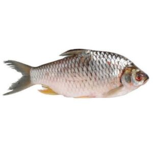 Fish Croacker (Frozen 1kg)