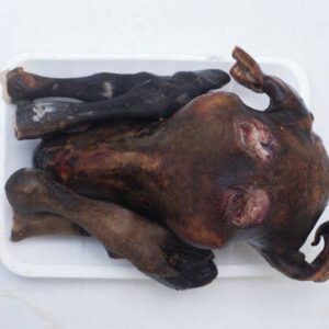 Goat head and legs  (big size)