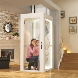 Home lift shaftless Elevator