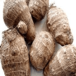 Cocoyam (Half of 4 litre paint bucket)