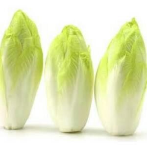 Endives (500g)