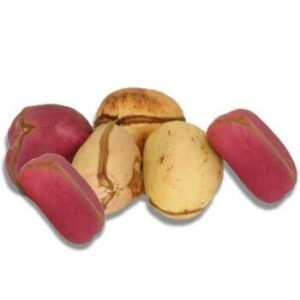 Kolanut (10 pcs)