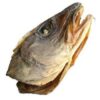 Stockfish Head (2 in 1 pack)