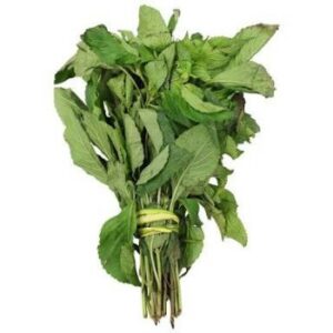 Scent Leaf (Efinrin, Nchuawu, Daidoya)