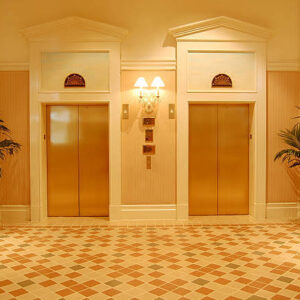 Luxury Hotel Elevator Lift by Home Lift Elevator