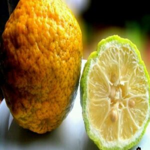 Lemon 8 pcs (Locally Grown)