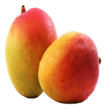 Mango (8 pcs med size)