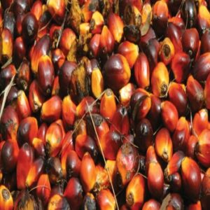Palm Kernel (1kg)