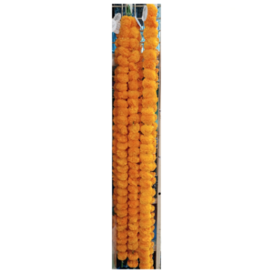 ARTIFICIAL MARIGOLD/GENDA FLOWER GARLAND STRING (30 FLOWERS IN 1 STRING) (PACK OF 1)