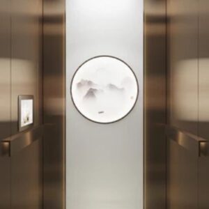 Shaftless Home Elevator