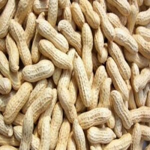 Groundnut (fresh) 900gms