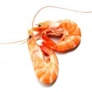 Shrimps (Frozen) 500g