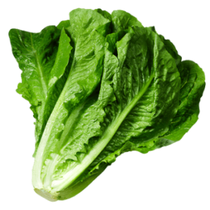 Lettuce (1 piece)