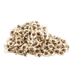 Moringa Seed (100g)
