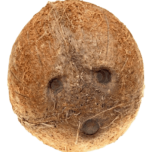 Coconut (2 pcs)