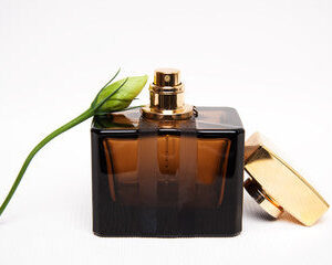 BROWN ORCHID