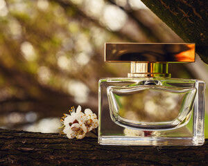 HE WOOD by Dsquared