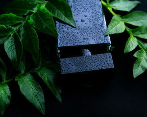 GUCCI BLACK pour ome by Gucci