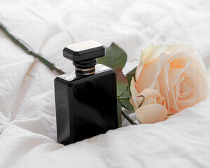 BLACK PHANTOM