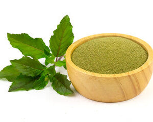 BASIL POWDER