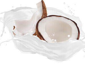 CREAMY COCONUT FRAGRANCE OIL-NATURE'S GARDEN