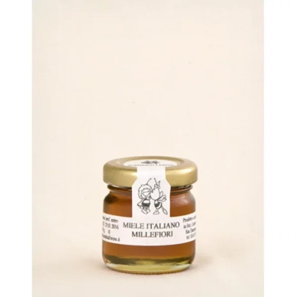 Wildflower Honey 40g