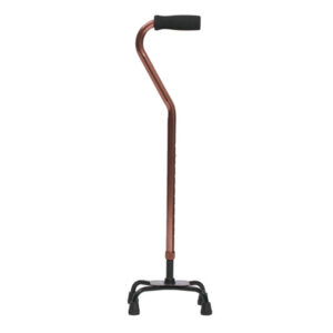 Quadripod Walking Stick ? Bronze
