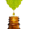 ANGELICA LIDQUID EXTRACT