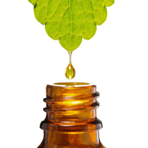 ANGELICA LIDQUID EXTRACT
