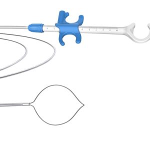 GI Polypectomy Snare Oval ? Promost