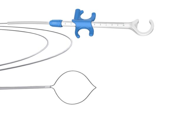 GI Polypectomy Snare Oval ? Promost