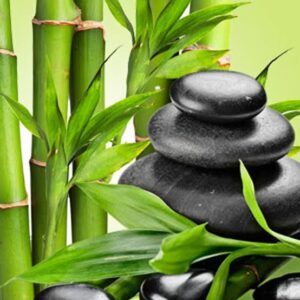 AUSTRALIAN BAMBOO GRASS FRAGRANCE OIL by NATURE GARDEN