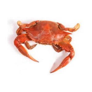 Figal crabs 1kg