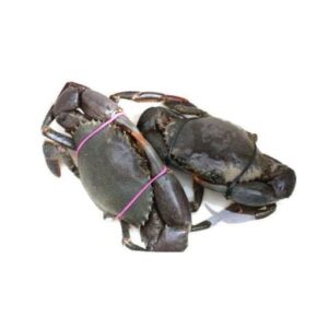 FIGAL CRABS 500G