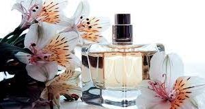 DELIGHTFULL CARESS FRAGRANCE OIL