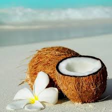 COCONUT FRAGRANCE OIL