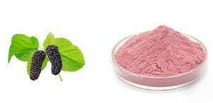 BEARBERRY FRUIT EXTRACT POWDER ? LIGHT PINK