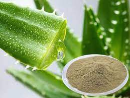 ALOE-VERA EXTRACT POWDER