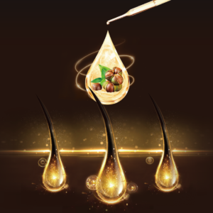 CAMELLIA SEED LIQUID EXTRACT
