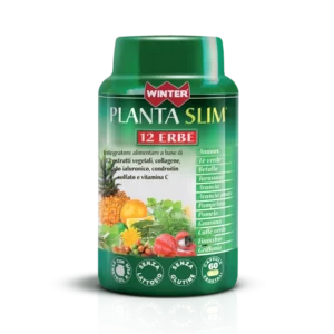 WINTER PLANTA SLIM 12ERBE60CPS
