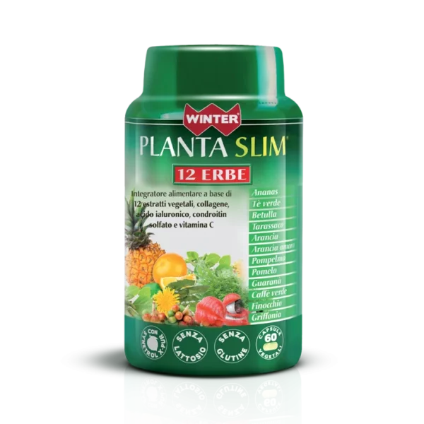 WINTER PLANTA SLIM 12ERBE60CPS