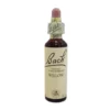 Willow Original Bach Flowers 20ml