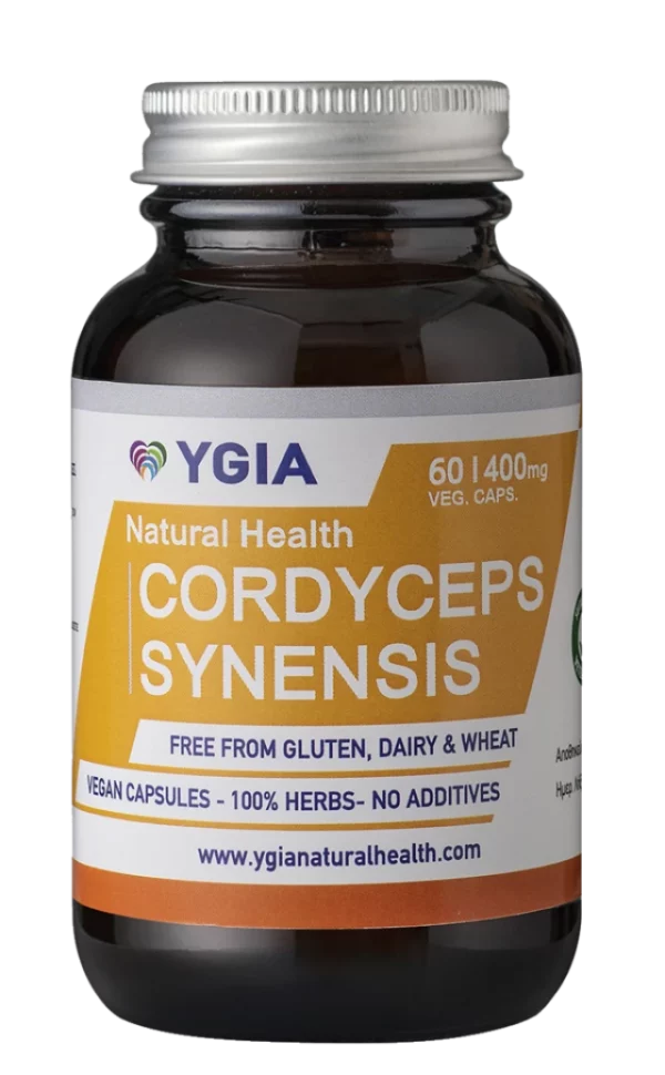 Ygia Cordyceps Synensis x 60 Capsules - Strengthens The Function Of The Lungs, Kidneys And Heart