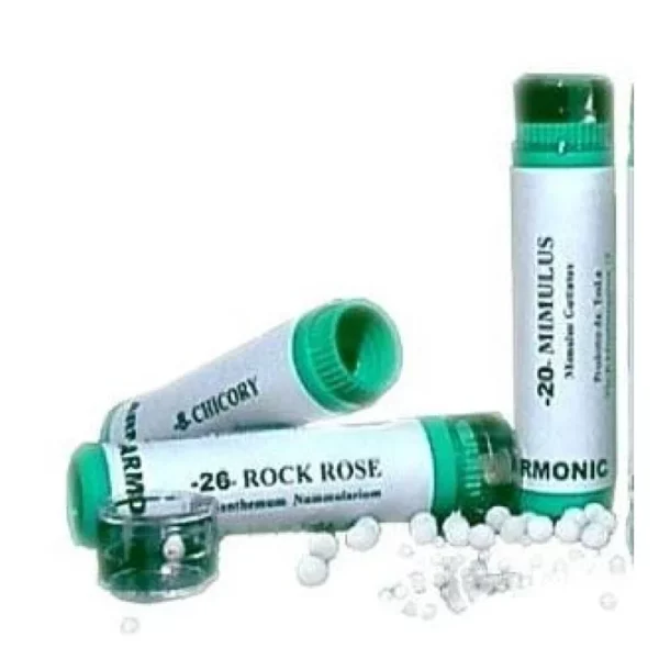 Tesla Bach Flowers Harmonic 15 Holly Homeopathic Granules 70g