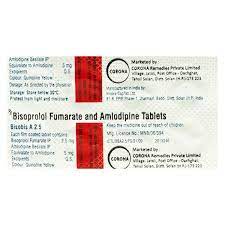 BISOBIS A 2.5MG TAB 10`S